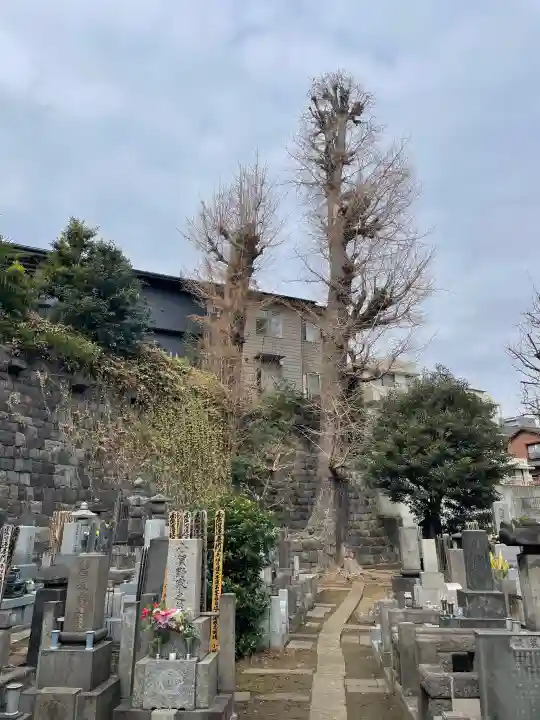 妙行寺の{uncategorized: "未分類", other: "その他", undefined: "問題あり", building: "その他建物", grave: "お墓", sacred_gate: "鳥居", guardian: "狛犬", statue: "像", buddha: "仏像", history: "歴史", nature: "自然", garden: "庭園", animal: "動物", pagoda: "塔", temizu: "手水舎", mountain_gate: "山門・神門", sanctuary: "本殿・本堂", subordinate: "末社・摂社", art: "芸術", scenery: "景色", jizo: "地蔵", ema: "絵馬", goshuin: "御朱印", omikuji: "おみくじ", items: "授与品その他", amulet: "お守り", goshuincho: "御朱印帳", eats: "食事", festival: "お祭り", votive_dance: "神楽", shichigosan: "七五三参", wedding: "結婚式", experience: "体験その他", initially: "初詣", around: "周辺", anti_infection: "感染症対策"}