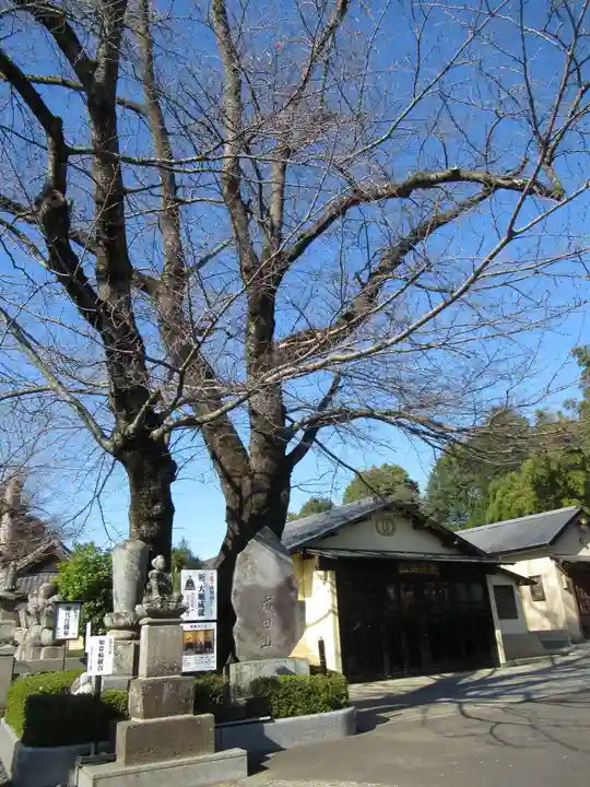 真光寺(千葉県)