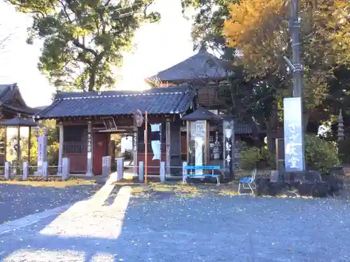 曹源寺の山門