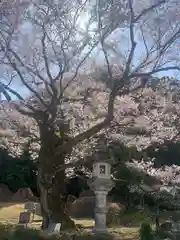 岐阜護國神社(岐阜県)