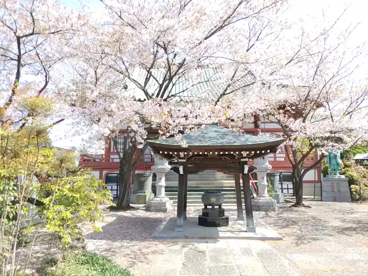 光明寺(埼玉県)