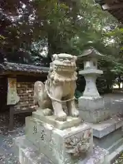 岡留熊野座神社の狛犬