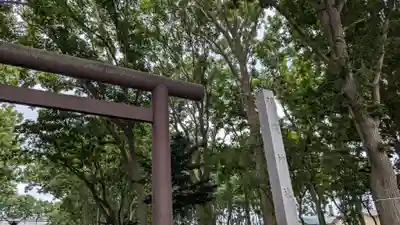 羽幌神社の鳥居