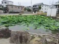 家原寺の自然