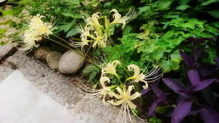 三輪神社の自然