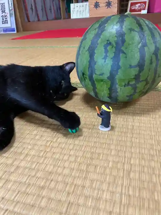 高司神社〜むすびの神の鎮まる社〜(福島県)