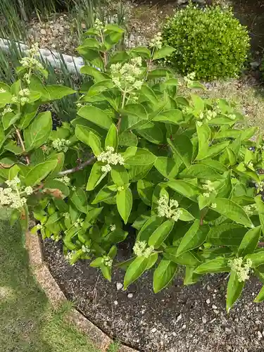 興禅寺(愛知県)