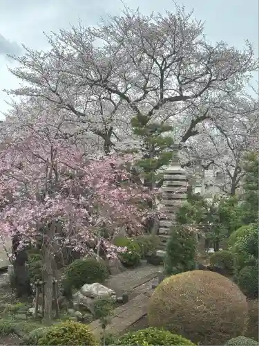 増明院(東京都)