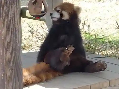 誠照寺(福井県)