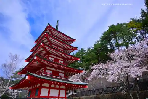 新倉富士浅間神社(山梨県)
