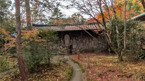 蓮華寺（洛北蓮華寺）(京都府)