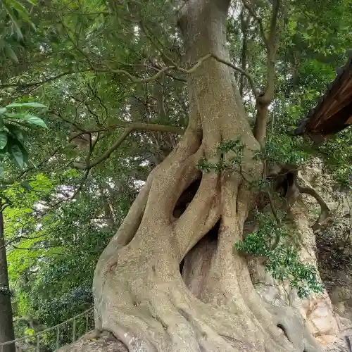 春日神社(神奈川県)