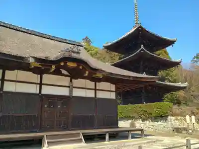 園城寺（三井寺）(滋賀県)