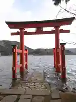 箱根神社の御朱印