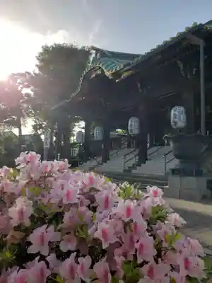 妙法寺(東京都)
