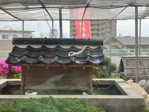 岩国白蛇神社(山口県)