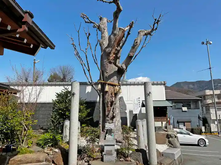 甲斐奈神社(山梨県)
