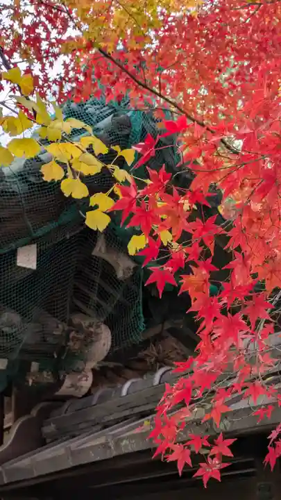 松ヶ崎大黒天 妙圓寺(妙円寺)(京都府)