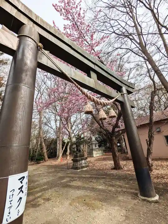 信濃神社の鳥居
