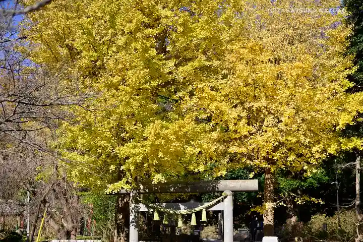 葛原岡神社の鳥居