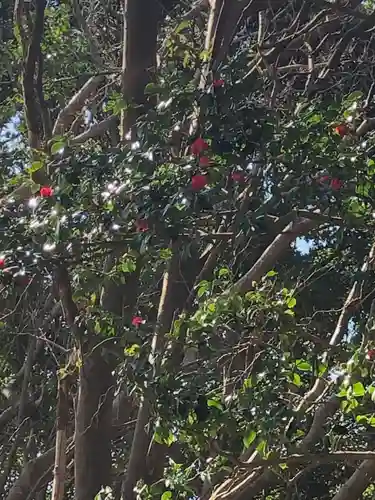 酒列磯前神社の自然