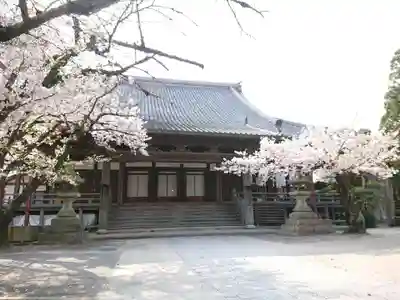 勝鬘寺の本殿・本堂