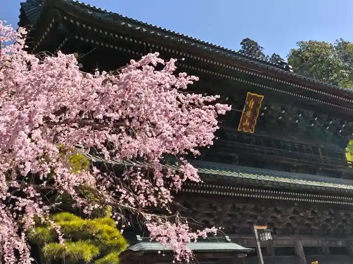 久遠寺(山梨県)