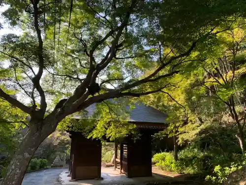 普門寺(切り絵御朱印発祥の寺)(愛知県)
