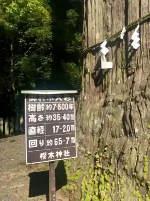 櫻木神社の自然