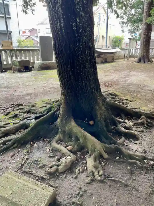 秋津神社(東京都)