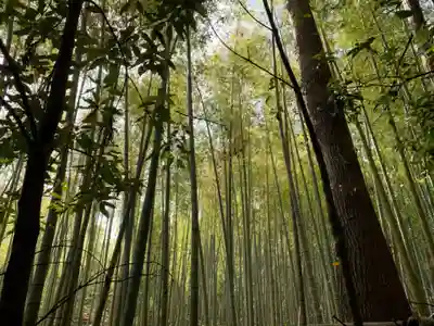 大國主神社の自然