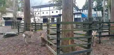 彌彦神社のその他建物
