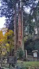 御岩神社の御朱印