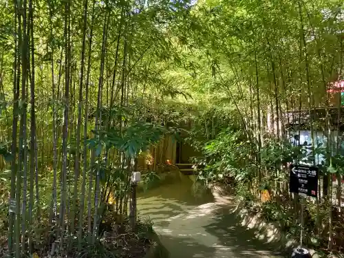 來宮神社(静岡県)