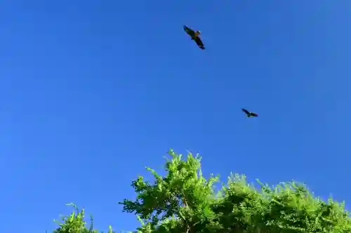 白山媛神社(新潟県)