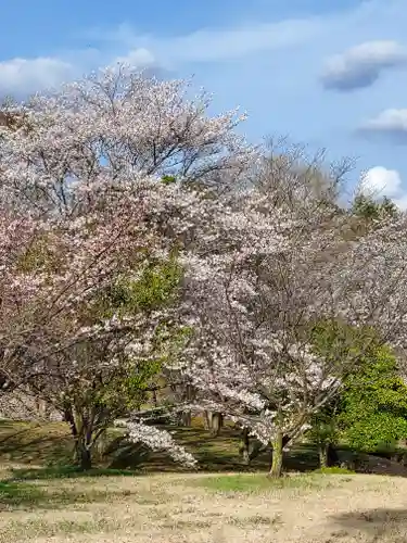 磯部稲村神社の景色