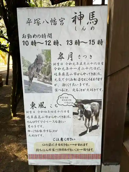 平塚八幡宮の{uncategorized: "未分類", other: "その他", undefined: "問題あり", building: "その他建物", grave: "お墓", sacred_gate: "鳥居", guardian: "狛犬", statue: "像", buddha: "仏像", history: "歴史", nature: "自然", garden: "庭園", animal: "動物", pagoda: "塔", temizu: "手水舎", mountain_gate: "山門・神門", sanctuary: "本殿・本堂", subordinate: "末社・摂社", art: "芸術", scenery: "景色", jizo: "地蔵", ema: "絵馬", goshuin: "御朱印", omikuji: "おみくじ", items: "授与品その他", amulet: "お守り", goshuincho: "御朱印帳", eats: "食事", festival: "お祭り", votive_dance: "神楽", shichigosan: "七五三参", wedding: "結婚式", experience: "体験その他", initially: "初詣", around: "周辺", anti_infection: "感染症対策"}