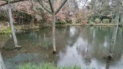 富士山本宮浅間大社(静岡県)