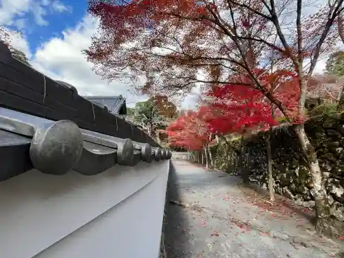 神峯山寺(大阪府)