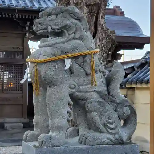 飛鳥神社（富田一色）の狛犬