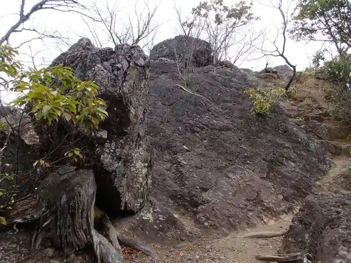 武蔵二宮 金鑚神社の自然