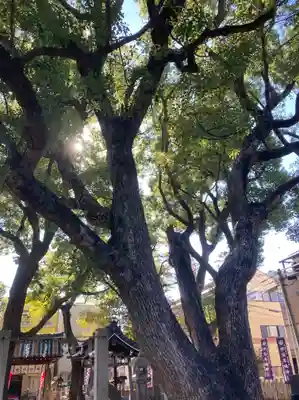 神須牟地神社(大阪府)