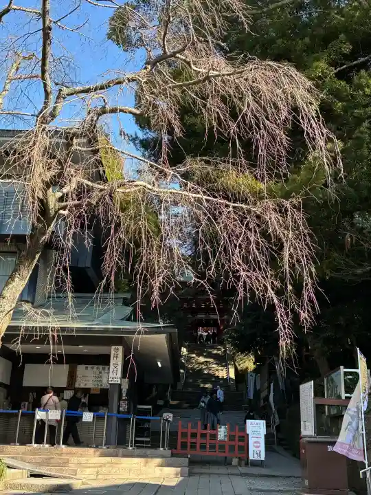 久能山東照宮の{uncategorized: "未分類", other: "その他", undefined: "問題あり", building: "その他建物", grave: "お墓", sacred_gate: "鳥居", guardian: "狛犬", statue: "像", buddha: "仏像", history: "歴史", nature: "自然", garden: "庭園", animal: "動物", pagoda: "塔", temizu: "手水舎", mountain_gate: "山門・神門", sanctuary: "本殿・本堂", subordinate: "末社・摂社", art: "芸術", scenery: "景色", jizo: "地蔵", ema: "絵馬", goshuin: "御朱印", omikuji: "おみくじ", items: "授与品その他", amulet: "お守り", goshuincho: "御朱印帳", eats: "食事", festival: "お祭り", votive_dance: "神楽", shichigosan: "七五三参", wedding: "結婚式", experience: "体験その他", initially: "初詣", around: "周辺", anti_infection: "感染症対策"}