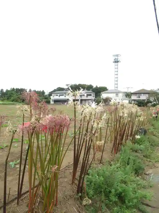 真光寺(千葉県)