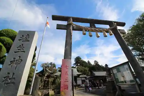 埴生神社の鳥居