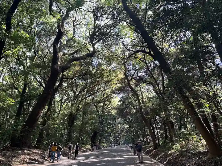 明治神宮(東京都)