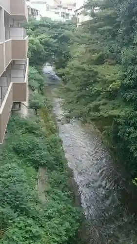 平野神社の景色