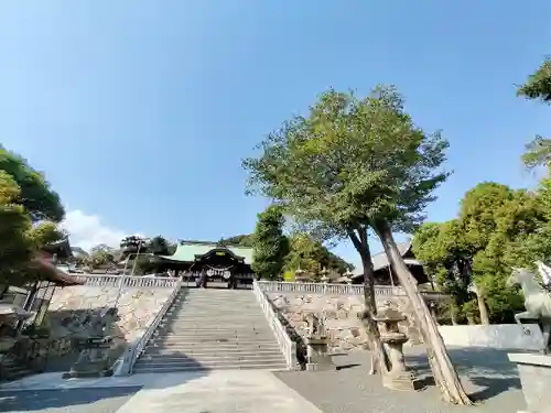 石清尾八幡宮(香川県)