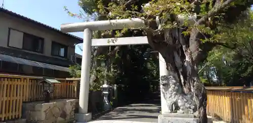 岩槻久伊豆神社の鳥居