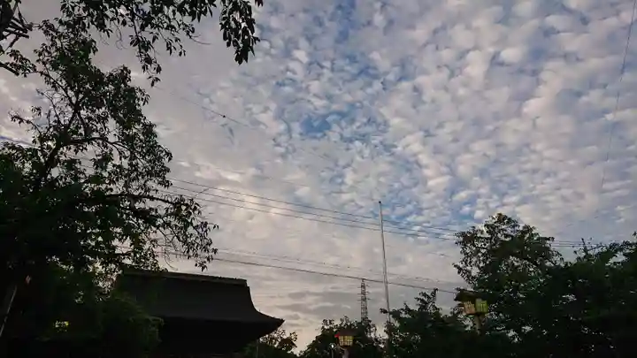 尾張大國霊神社(国府宮)の自然